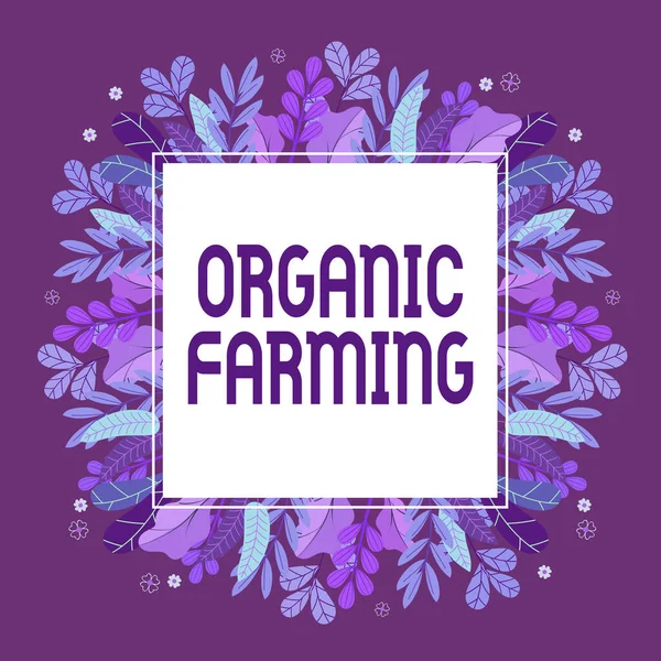 Sign displaying Organic Farming. Word Written on an integrated farming system that strives for sustainability Frame Decorated With Colorful Flowers And Foliage Arranged Harmoniously. — 스톡 사진