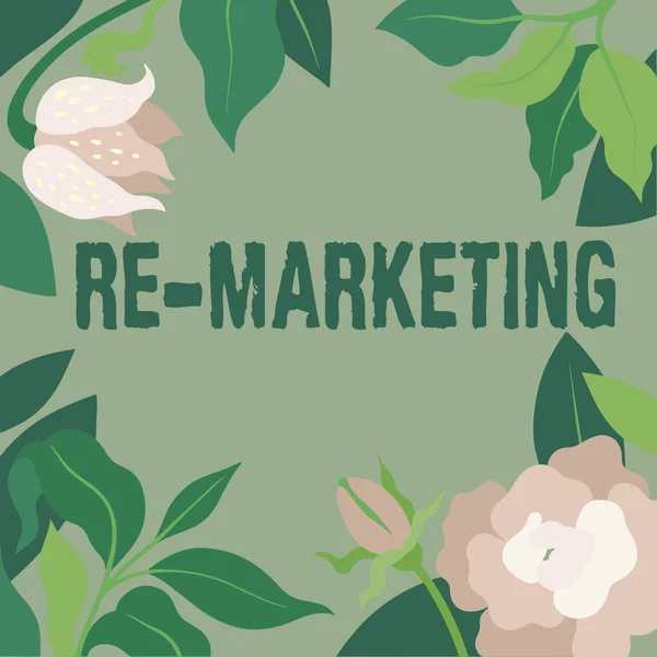 Writing displaying text Re Marketing. Business concept Strategy to reach potential customers in your website Frame Decorated With Colorful Flowers And Foliage Arranged Harmoniously. — Stock Photo, Image
