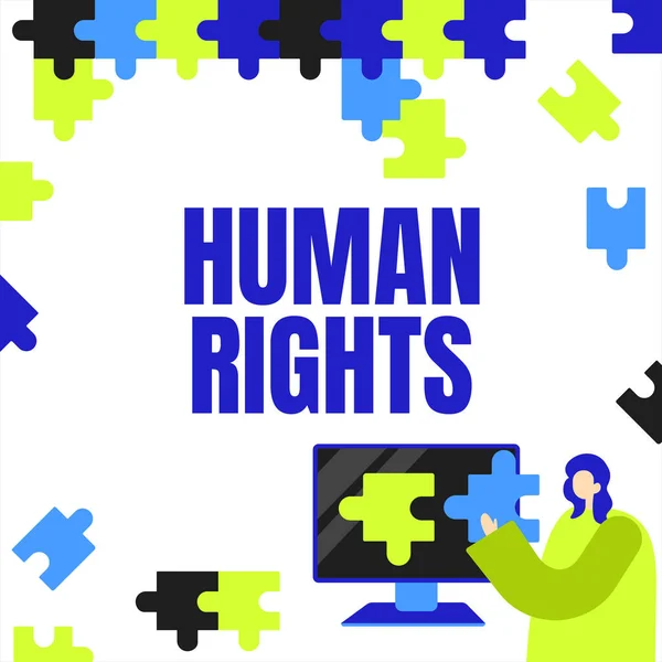 Inspiration showing sign Human Rights. Concept meaning Moral Principles Standards Norms of a showing protected by Law Lady Holding Puzzle Piece Representing Innovative Problem Solving Ideas. — Zdjęcie stockowe