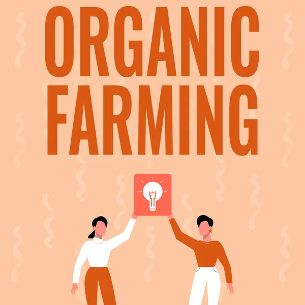 Conceptual display Organic Farming. Conceptual photo an integrated farming system that strives for sustainability Two Colleagues Holding Lamp Presenting New Achievement Reached. — Stock fotografie