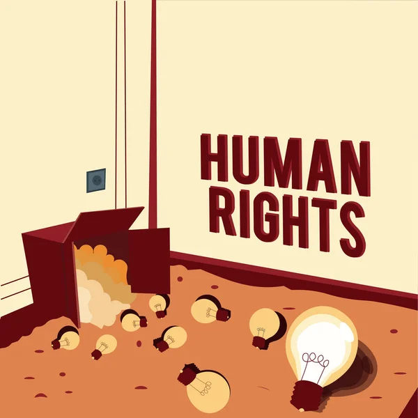 Text caption presenting Human Rights. Business approach Moral Principles Standards Norms of a showing protected by Law Light bulbs spilled out box symbolizing innovative thinking. — Zdjęcie stockowe