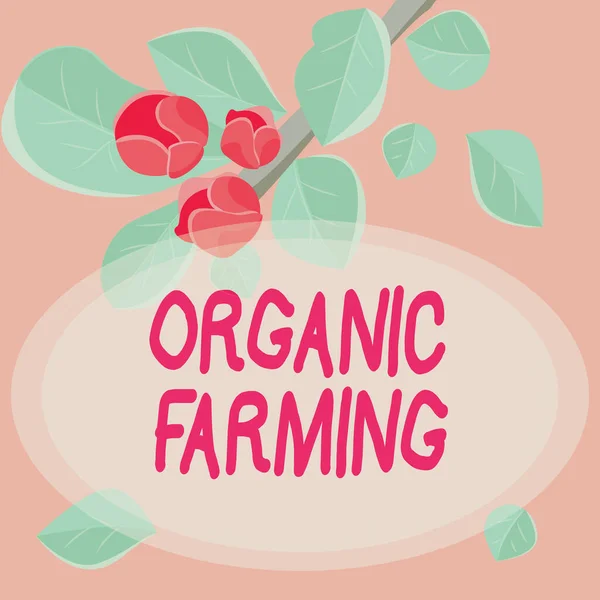 İlham verici organik çiftçiliği gösteren bir metin. İnternet Uyumlu Renkli Çiçekler ve Yeşilliklerle süslenmiş sürdürülebilirlik çerçevesi için uğraşan bütünleşik bir tarım sistemi kavramı. — Stok fotoğraf