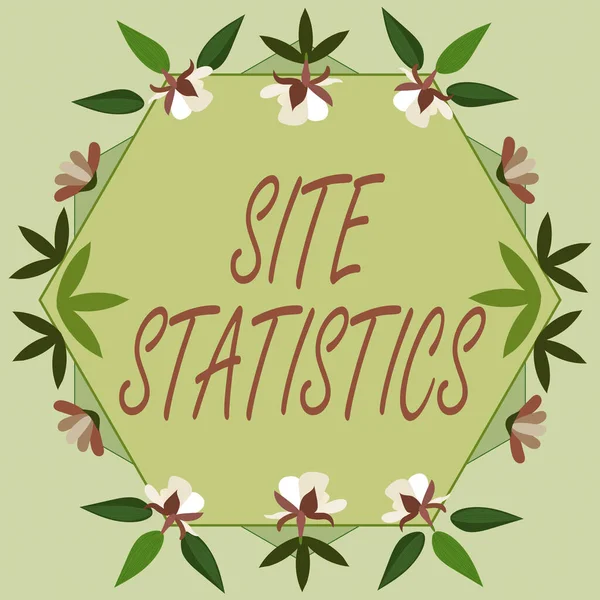 Konceptvisning Webbplatsstatistik. Affärsöversikt mätning av beteendet hos besökare på vissa webbplats Blank ram dekorerad med abstrakta moderniserade former blommor och oliage. — Stockfoto