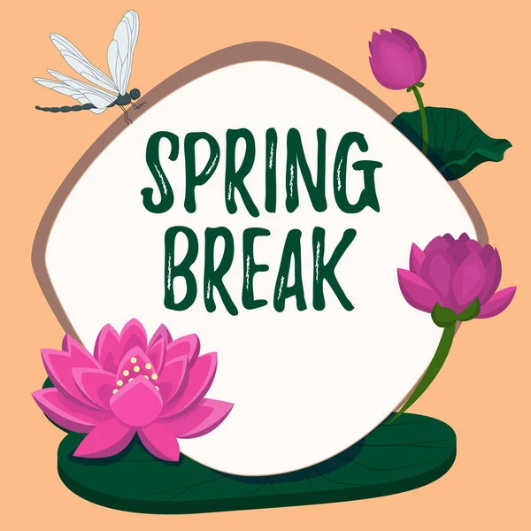 Handwriting text Spring Break. Conceptual photo Vacation period at school and universities during spring Frame decorated with colorful flowers and foliage arranged harmoniously. — Photo