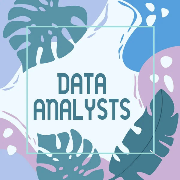 Text sign showing Data Analysts. Internet Concept Programmer Design and Create Report Identifies patterns Blank Frame Decorated With Abstract Modernized Forms Flowers And Foliage. — Fotografia de Stock