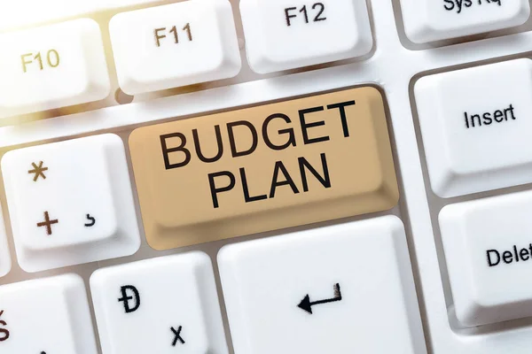 Writing Displaying Text Budget Plan Business Overview Financial Schedule Defined — Stock Photo, Image