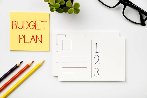 Text Sign Showing Budget Plan Internet Concept Financial Schedule Defined — Stock Photo, Image