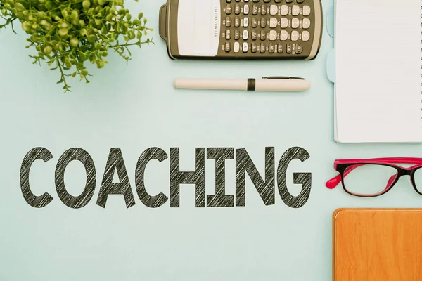 El yazısı koçluğu, kişiye özel kişisel hedefe ulaşmada, Flaşlı Okul Malzemeleri, Öğretim Koleksiyonları, Yazma Araçları,