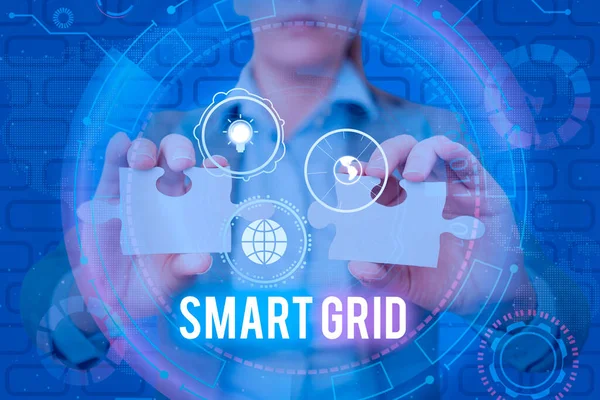 Text caption presenting Smart Grid, Business concept includes of operational and energy measures including meters Lady in suit holding two puzzle pieces representing innovative thinking.