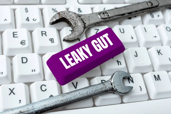 Sign Displaying Leaky Gut Business Approach Condition Which Lining Small — Stock Photo, Image