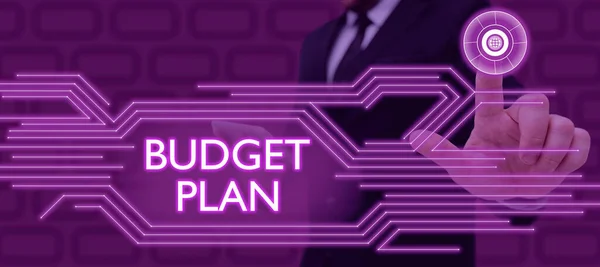 Conceptual Display Budget Plan Business Overview Financial Schedule Defined Period — Stock Photo, Image