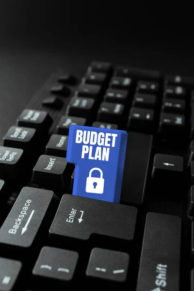 Conceptueel Bijschrift Budget Plan Bedrijfsoverzicht Financieel Schema Voor Een Bepaalde — Stockfoto