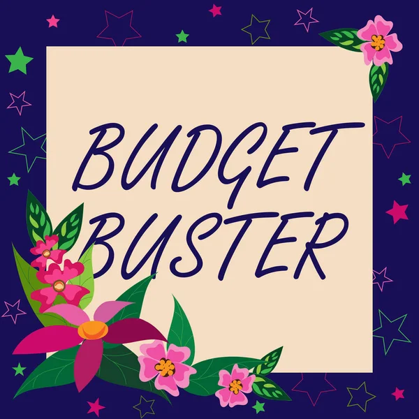 Text Bildtext Presenterar Budget Buster Business Showcase Bekymmersfri Utgifter Fynd — Stockfoto