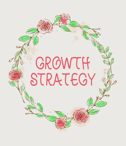 Konceptvisning Tillväxtstrategi Affärsöversikt Strategi Som Syftar Till Att Vinna Större — Stockfoto
