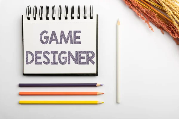 Sinal Texto Mostrando Game Designer Internet Concept Campaigner Pixel Scripting — Fotografia de Stock