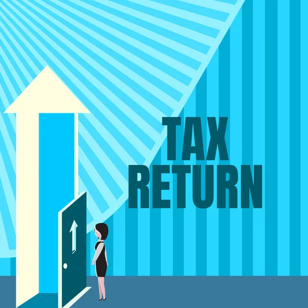 Inspiration Für Die Steuererklärung Unternehmensübersicht Welcher Steuerpflichtige Jährlich Seine Einkommensverhältnisse — Stockfoto