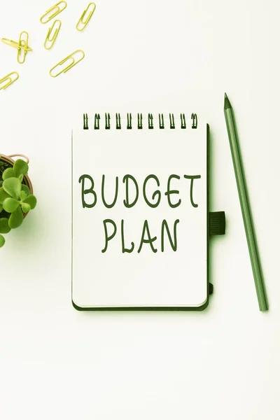 Ręczne Pisanie Znaku Plan Budżetu Koncepcja Biznesowa Harmonogram Finansowy Określony — Zdjęcie stockowe