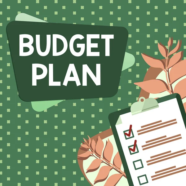 Sign displaying Budget Plan, Word Written on financial schedule for a defined period of time usually year Clipboard Drawing With Checklist Marked Done Items On List.