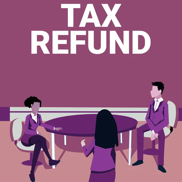 Tax Refund Internet Concept 재정적 노동자들 회의를 워크를 수행하는 프로젝트를 — 스톡 사진