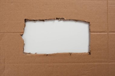 Yırtık Karton Altında Yazılan Önemli Bilgiler.