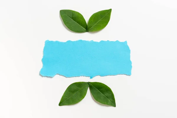 Blank Color Paper Leaves Arranged Business Promotion — Stock Fotó