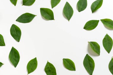 İş Tanıtım Sancağı İçin Boş Kopya Metni ile Taze Ayrıntılar.