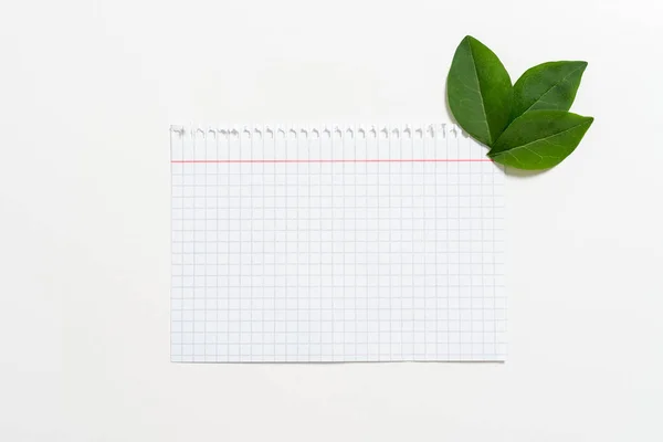 Notebook Paper Leaves Decorated Promoting Brand — Stockfoto