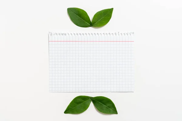 Blank Notebook Sheet Leaves Arranged Business Promotion — Stock Fotó