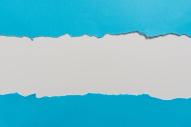 Yırtılan Kağıdın Altında Yazılan Önemli Bilgi.