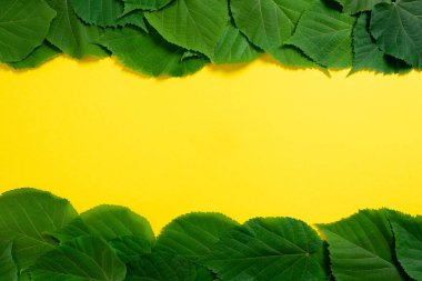 Çok Yaprak Altında Yazılı Önemli Bilgiler.