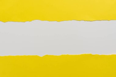 Yırtılan Kağıdın Altında Yazılan Önemli Bilgi.