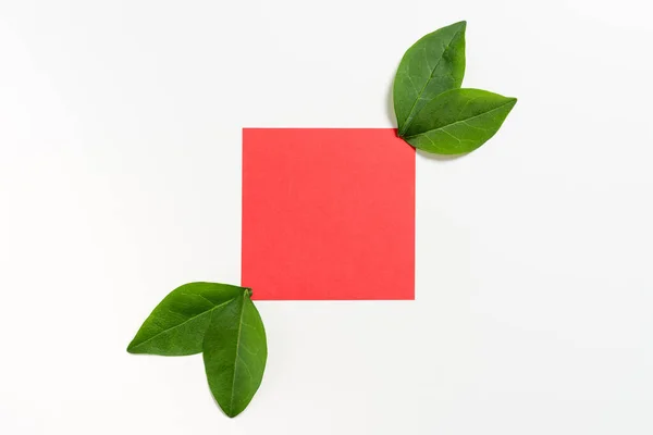 Blank Paper With Leaves Decoration For Business Advertisement.