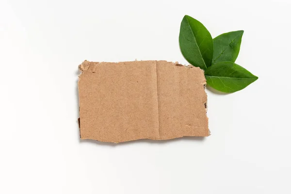 Empty Paper Leaves Decorated Business Advertisement — Stock Fotó