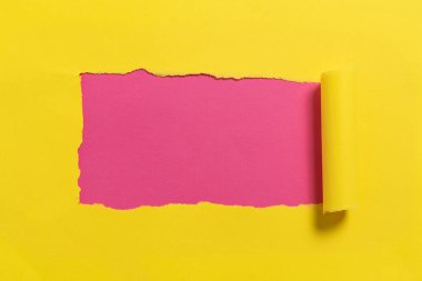 Yırtılan Kağıdın Altında Yazılan Önemli Bilgi.