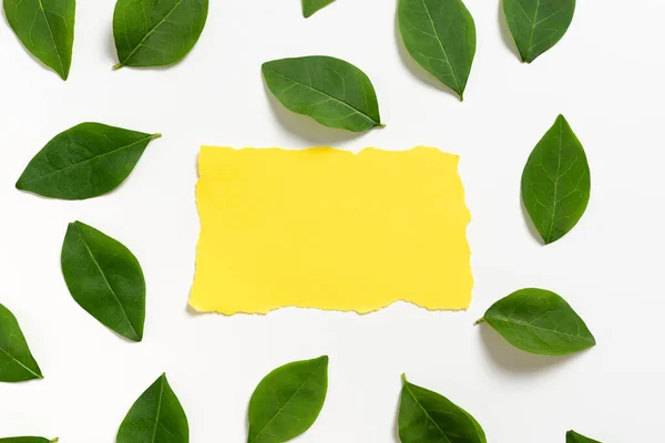 Blank Paper Surrounded With Leaves For Wedding Invitation And Cards.