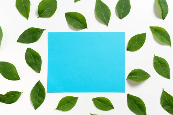 Blank Paper Surrounded With Leaves For Wedding Invitation And Cards.