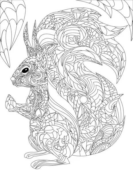 Coloring Book Page Cute Detailed Squirrel Holding Hazelnut — Vector de stock