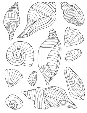 Coloring Book Page With Different Detailed Seashells.