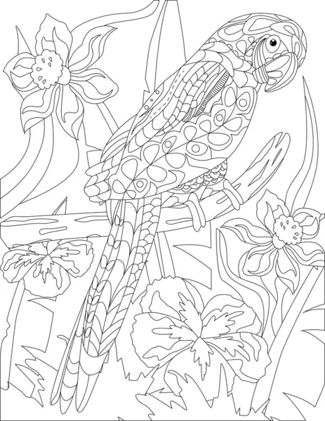 Coloring Page Standing Parrot Different Flowers Background — Vector de stock