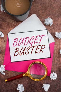 Conceptual display Budget Buster, Business showcase Carefree Spending Bargains Unnecessary Purchases Overspending Woman Holding Light Bulb Presenting Digital Search With New Ideas.