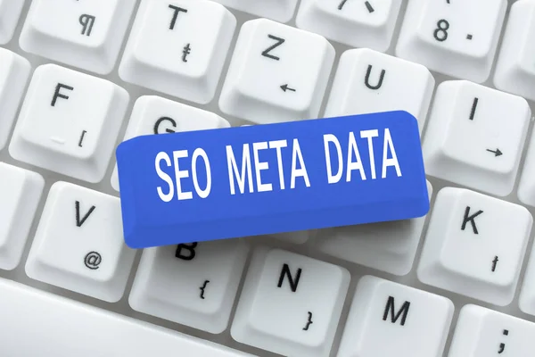 Text Showing Inspiration Seo Meta Data Concept Meaning Search Engine — Stockfoto