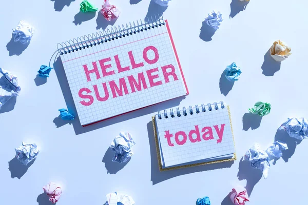 Text Sign Showing Hello Summer Conceptual Photo Welcoming Warmest Season — Stok fotoğraf