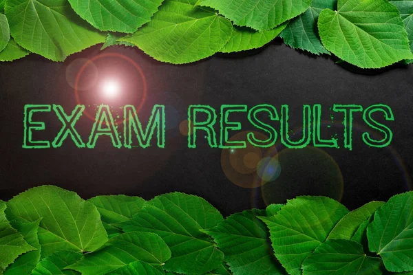 Writing Displaying Text Exam Results Business Idea Outcome Formal Test — стокове фото