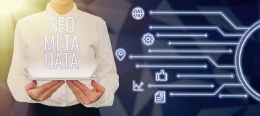 Writing displaying text Seo Meta Data, Business overview Search Engine Optimization Online marketing strategy Woman With Tablet By Digital S And Lines Presenting Ideas Of Business.