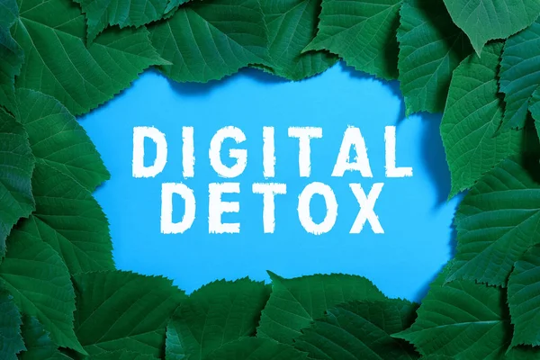 Handwriting Text Digital Detox Internet Concept Free Electronic Devices Disconnect — Foto de Stock
