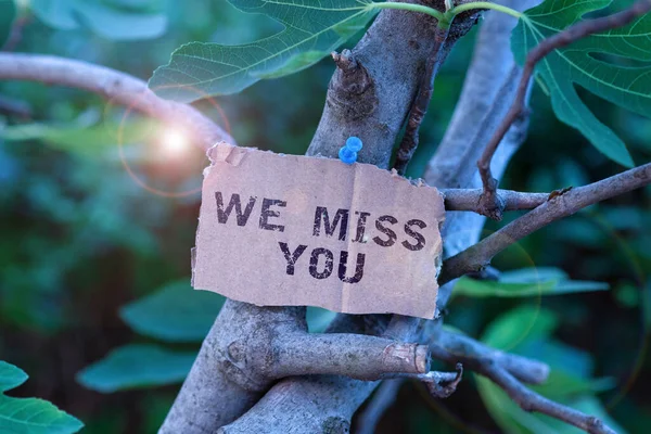 Text showing inspiration We Miss You, Business concept Feeling sad because you are not here anymore loving message Blank Adhesive Note Pinned On Tree Branch For Business Promotion.