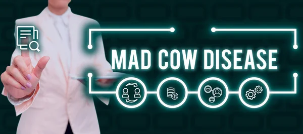 Handwriting text Mad Cow Disease, Internet Concept Neurodegenerative lethal disease contagious eating meat Lady in suit holding pen symbolizing successful teamwork accomplishments.