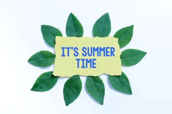Text showing inspiration It S Summer Time, Conceptual photo Relax sunny hot season of the year Vacation beach trip Blank Color Paper Surrounded With Leaves For Invitation Card.