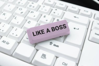 Handwriting text Like A Boss, Conceptual photo Acting as if you are the one giving orders in job or situation -49127