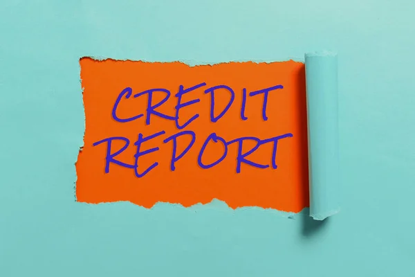 Conceptual Display Credit Report Business Approach Borrowing Rap Sheet Bill — стоковое фото